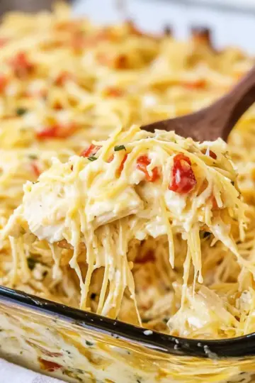 Chicken Spaghetti